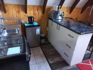 eine Küche mit einer Spüle und einer Arbeitsplatte in der Unterkunft Donde Coco in Quellón