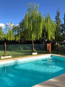 una piscina en un patio con un árbol en Cabañas Iremía en Uribelarrea