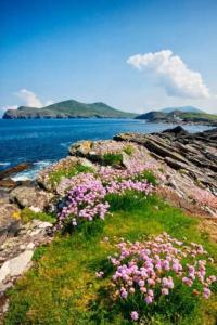 Fotografie z fotogalerie ubytování Harbor View v destinaci Valentia Island