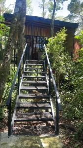 un conjunto de escaleras que conducen a una cabaña en Cabañas Roca Verde, en Monteverde