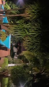 Vaizdas į baseiną apgyvendinimo įstaigoje Campus La Rufina arba netoliese