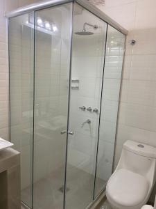 La salle de bains est pourvue d'une cabine de douche et de toilettes. dans l'établissement Reconquista900, à Buenos Aires