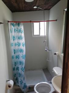 ein Bad mit einer Dusche, einem WC und einem Waschbecken in der Unterkunft Eden in Queilén