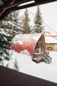 Red Shutter Cabin зимой