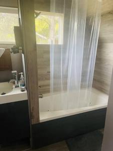 a bathroom with a tub and a sink and a shower at Bastrop Tiny Disc Golf Retreat in Bastrop