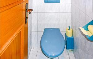 a blue toilet in a bathroom with a blue lid at Amazing Apartment In Mhlbach With 2 Bedrooms in Mühlbach am Hochkönig