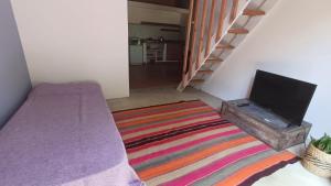 un soggiorno con TV e tappeto colorato di El Pacará a Vaqueros