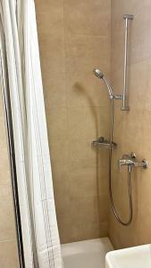 La salle de bains est pourvue d'une douche avec rideau de douche. dans l'établissement Studio hyper centre, à Genève