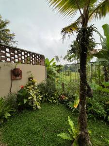 a garden with a palm tree next to a fence at Highbury Colombo Cottage in Colombo