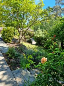 a garden with flowers and a tree and a sidewalk at Retreat in Stirling in Stirling