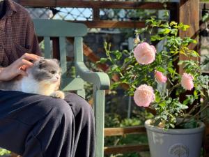 una persona sentada en un banco sosteniendo un gato en HomeTa Homestay, en Bao Loc