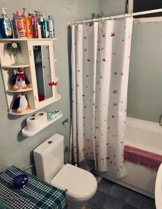 uma casa de banho com um WC e uma cortina de chuveiro em Ankara Merkezde Piyanolu Daire em Ancara