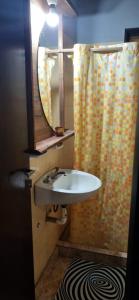baño con lavabo y cortina de ducha en Paz alojamiento en Jardín América