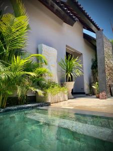 uma piscina em frente a uma casa com plantas em Amalika Private Pool Villa Central to Everything em Gili Trawangan