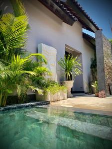 a swimming pool in front of a house with plants at Amalika Private Pool Villa Central to Everything in Gili Trawangan