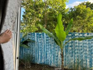 een palmboom voor een blauw hek bij Paradise panglao pool villa 
