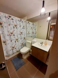 a bathroom with a toilet and a sink and a mirror at Departamento hermoso, cómodo, totalmente equipado in Pucón