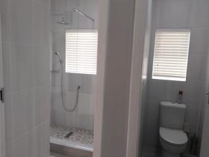 a white bathroom with a shower and a toilet at 5 Telena in Umdloti