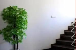 uma árvore verde sentada ao lado de uma escada em Hotel SBS Grand , Coimbatore em Coimbatore