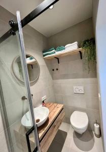 een kleine badkamer met een toilet en een wastafel bij Tiny House in center Aalsmeer I Close to Schiphol & Amsterdam in Aalsmeer