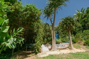 a garden with two palm trees and a bench at Surf n Sea Beachfront Holiday Home in Jeffreys Bay