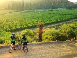 zwei Personen, die auf einer unbefestigten Straße in der Nähe eines Feldes Fahrrad fahren in der Unterkunft Mymering Wine & Guest Estate in Ladismith