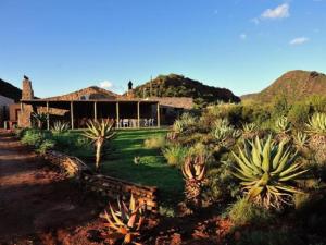 a house with a bunch of cacti in front of it at Mymering Wine & Guest Estate in Ladismith