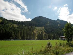 a large green field with a mountain in the background at Apartment in Saalbach-Hinterglemm with sauna in Saalbach-Hinterglemm