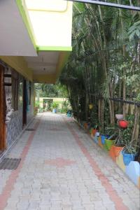 a walkway with palm trees and plants in a building at VM Residency in Yelagiri