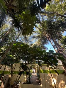 a house with palm trees and a walk way at VM Residency in Yelagiri