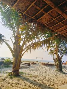 una playa con palmeras y una pelota de voleibol en Havana Beach House en Alleppey