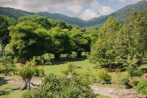 Singgahsana Villa في كواه: حقل أخضر مع الأشجار والجبال في الخلفية