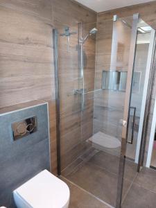 a bathroom with a shower and a toilet at Vakantiehuis, Kaaidijk 42 Kortgene in Kortgene +27 photos