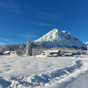 ein schneebedecktes Feld mit einem Berg im Hintergrund in der Unterkunft Haus am Lärchenhang, Fewo5 in Leutasch