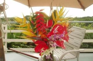 un vase rempli de fleurs assis sur une table dans l'établissement Hale-Hoola B & B, à Captain Cook
