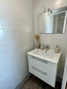 een witte badkamer met een wastafel en een spiegel bij La Barbotine - Cosy - Centre ville in Bourg-en-Bresse