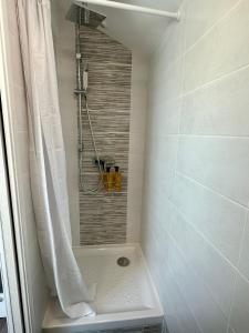 a bathroom with a shower with a shower curtain at La Barbotine - Cosy - Centre ville in Bourg-en-Bresse