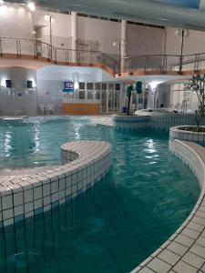a large swimming pool with green water in a building at Belliss in Osijek