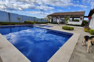 聖米蓋爾的住宿－Cómoda casa en Residencial San Andrés，一只狗站在游泳池旁边