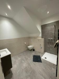 a bathroom with a shower and a toilet and a sink at Apartment Alpbachtraum in Alpbach