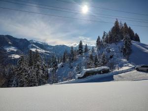 Panorama tokom zime