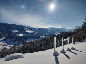 Panorama tokom zime