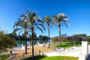 een groep palmbomen naast een waterlichaam bij SJE - Shiny apartment close to the river in Sevilla