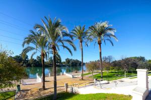 a group of palm trees next to a body of water at SJE - Shiny apartment close to the river in Seville