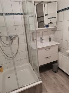 La salle de bains est pourvue d'une douche et d'un lavabo. dans l'établissement Im Harzer Vogelnest Spatzennest, à Bad Harzburg
