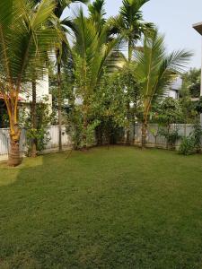 a yard with palm trees and a fence at Ak22 stays Bardhaman Burdwan in Barddhamān