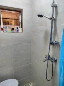 a bathroom with a shower with a toilet at SJ Kololi Apartments in Sere Kunda