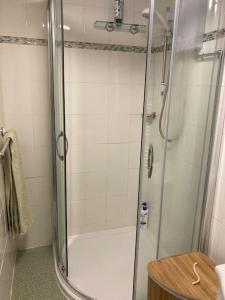 a bathroom with a shower with a glass door at Lovely peaceful 2 bed cottage in Llandderfel