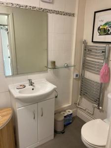 a bathroom with a sink and a toilet and a mirror at Lovely peaceful 2 bed cottage in Llandderfel