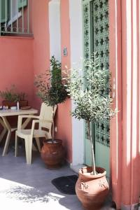 due piante in vaso sedute sul lato di un edificio di Spacious Apartment in Old Town - private parking a Salonicco